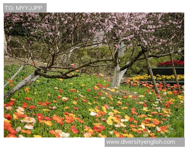 梅春时节的温暖阳光与绚丽花海交织的美丽画卷